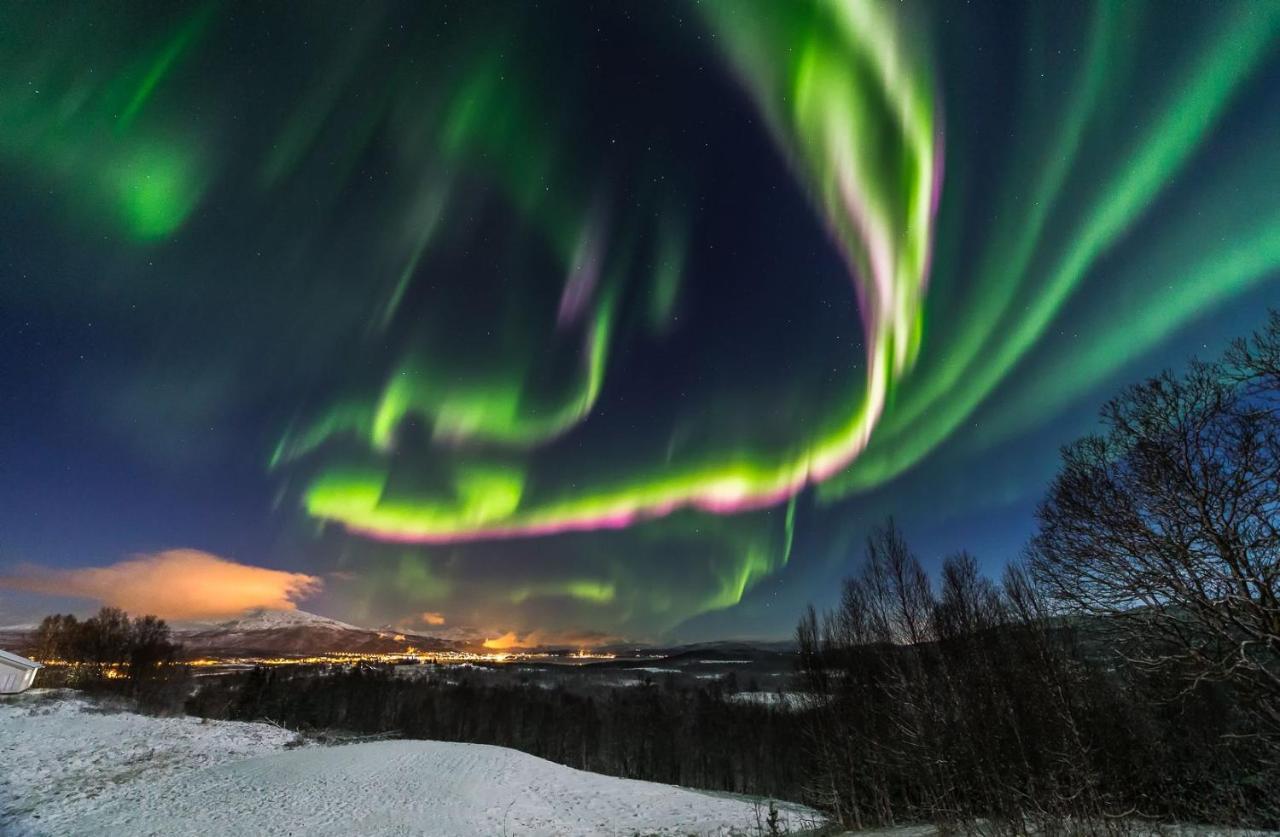 Aurora Borealis Observatory Silsand Экстерьер фото